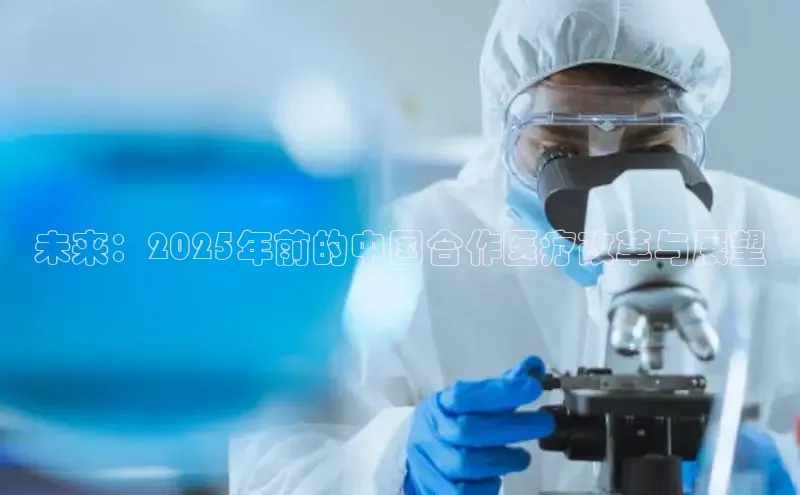 V体育网页版入口