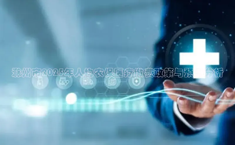 vsport体育在线官网手机版