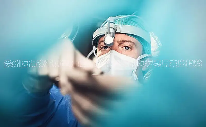 V·体育官方网站