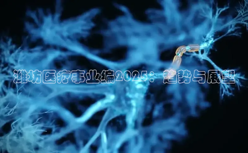 VSports官方网站